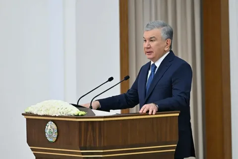 Jizzax va Sirdaryo viloyatlarining elektr tarmoqlari investorlarga taklif etiladi — Prezident