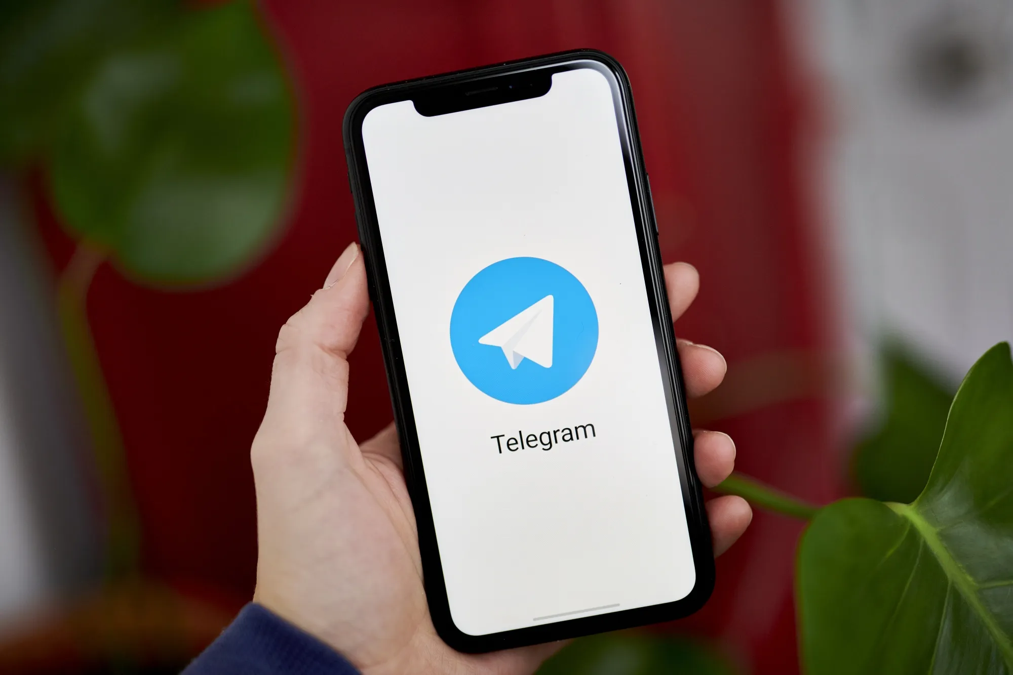 Telegram'da reklamasi eng qimmat blogerlar reytingi — TOP-10